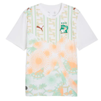 2026 Ivory Coast Away Jersey
