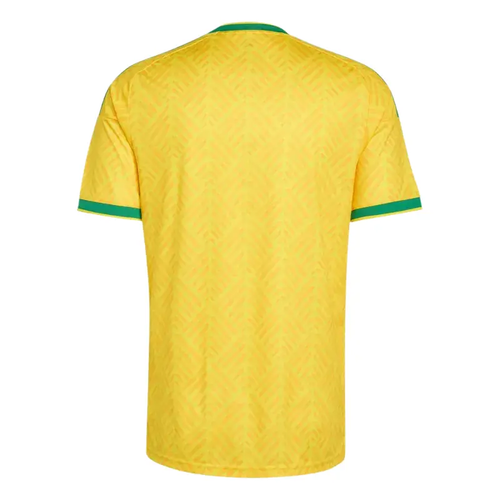 Maillot domicile Afrique du Sud 2026