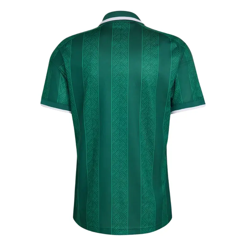 Maillot extérieur Afrique du Sud 2026