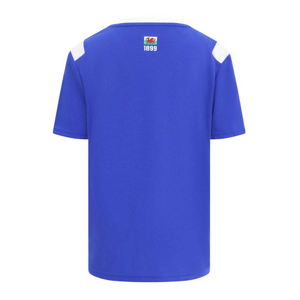 2026/27 Cardiff City Home Jersey | Castore Royal Blue Football Shirt