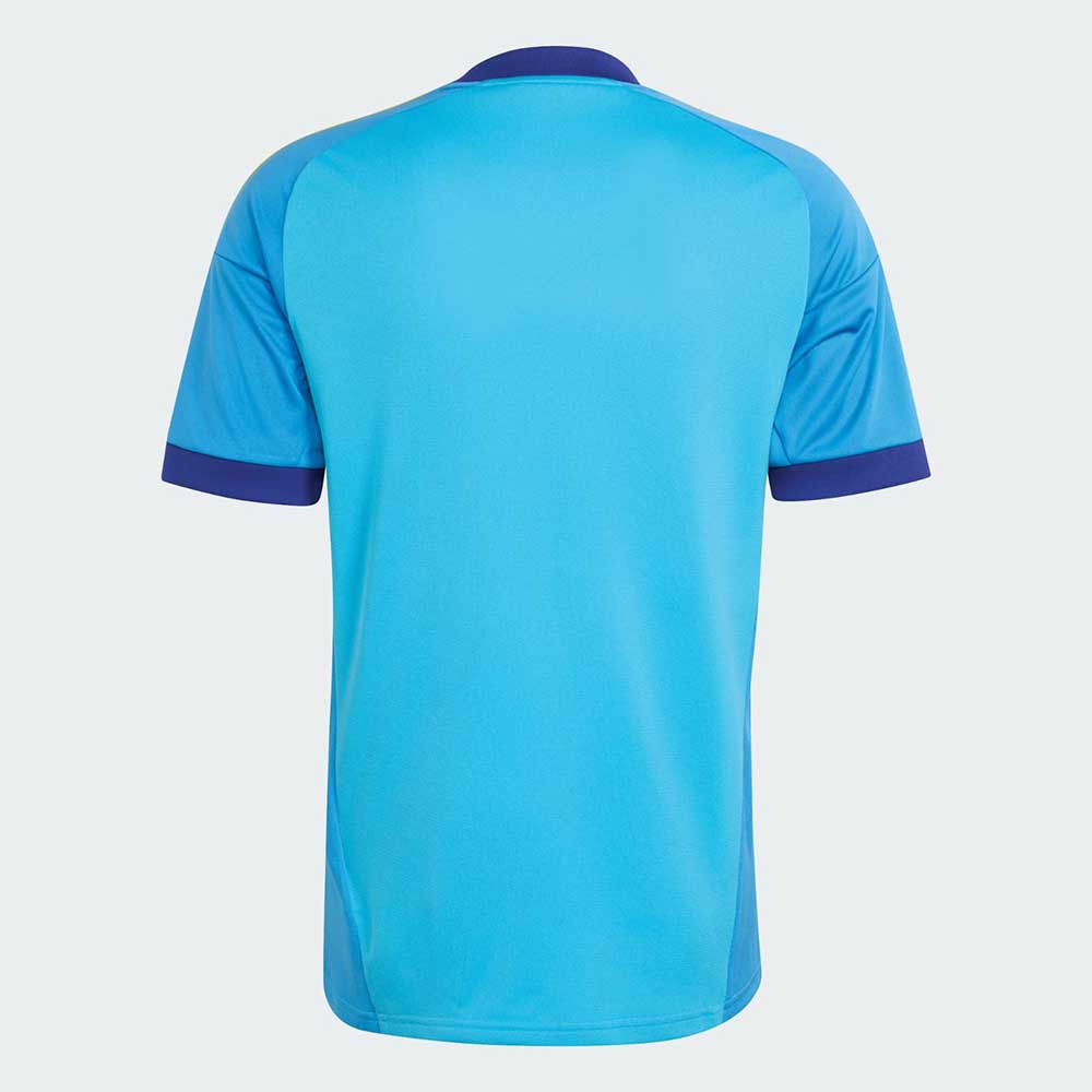 Flamengo Blue Goalkeeper Football Shirt 2026-27