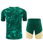 Real Madrid Pre-Match Kit 2026-27 | adidas Green Football Jersey & Shorts